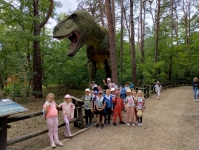 img_20250624_141247298_hdr-kopiowanie-jpg1754639574